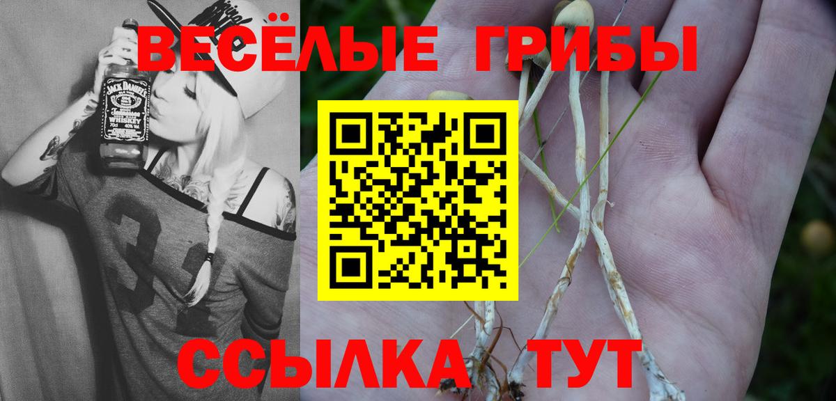Бирск  Псилоцибиновые грибы Psilocybe  Вход с VPN 