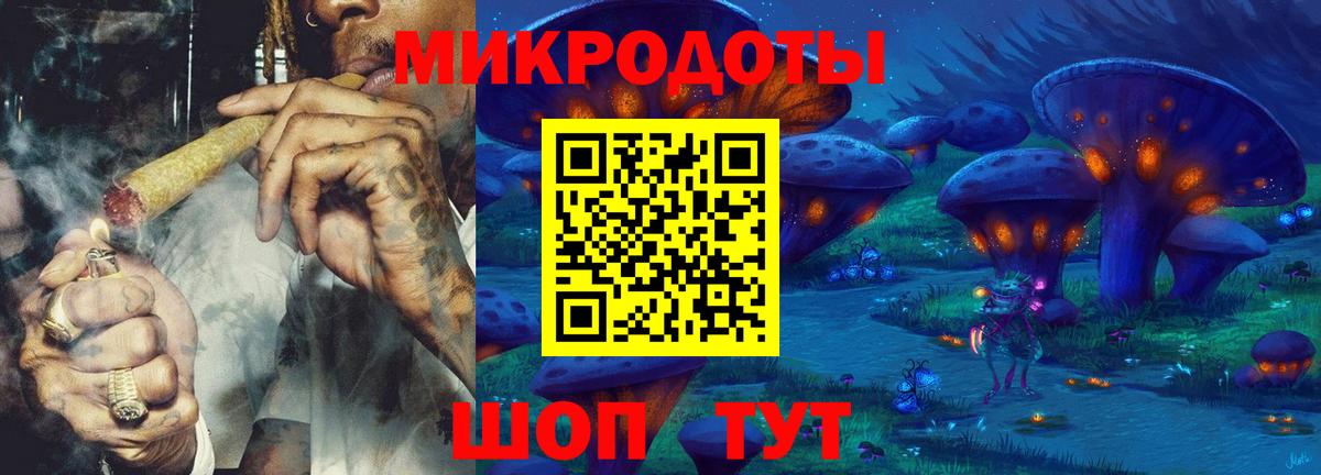 Псилоцибиновые грибы Psilocybine cubensis Бирск